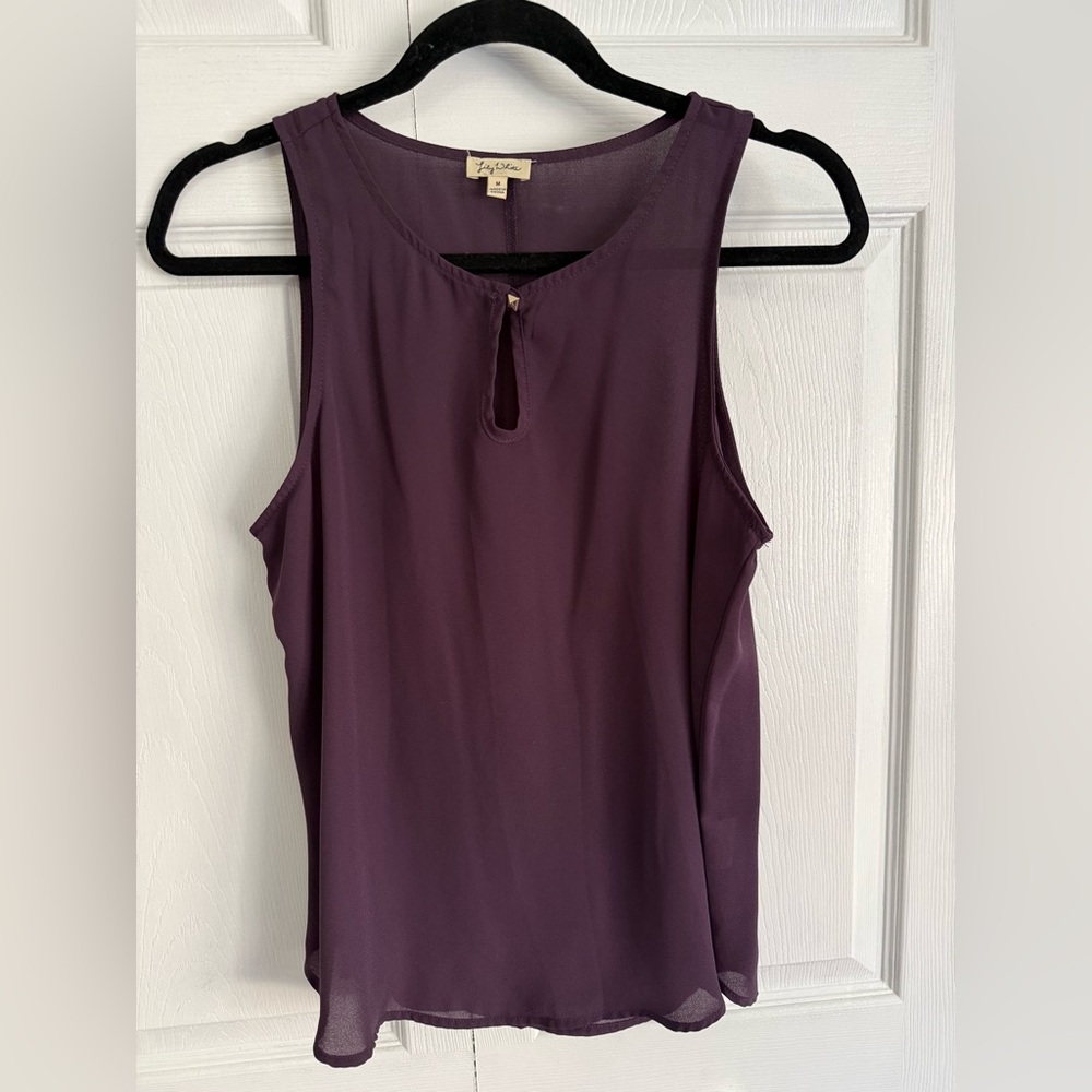 Sheer blouse